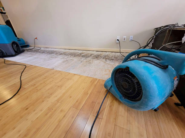 Professional Basement Flood Cleanup technician working in Canajoharie, NY